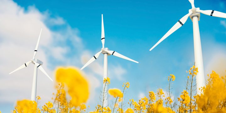 Duitsland zet in op waterstof: lucratief voor Nederland!