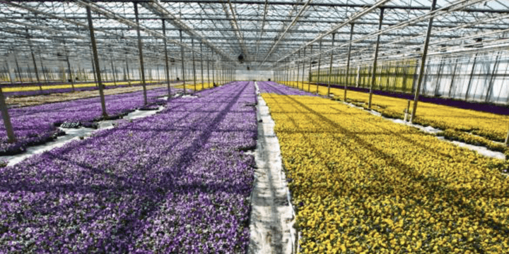 Opname live stream BIG en Jong Warmtenetwerk Jongerenevent